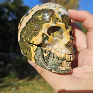 8th vein ocean jasper skull